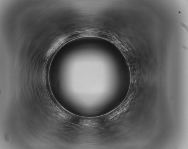X0000097640341200802291410