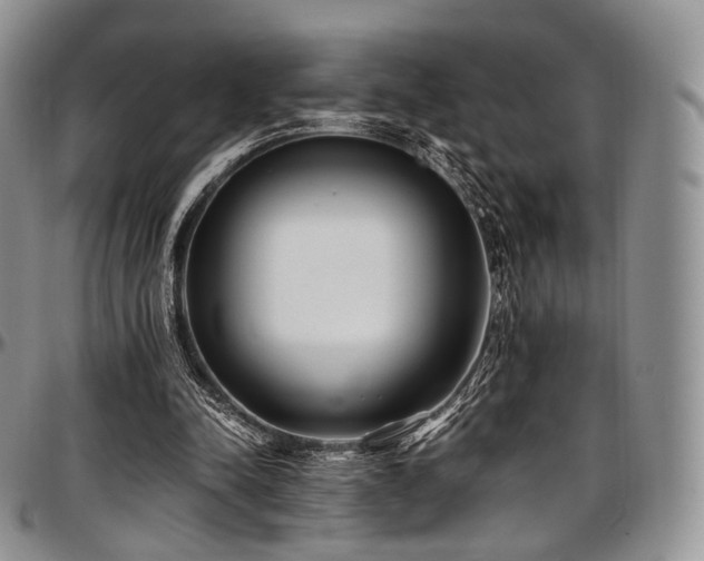 X0000097640342200802291410