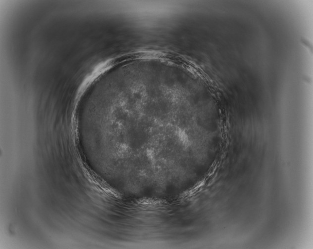 X0000097640343200802291410