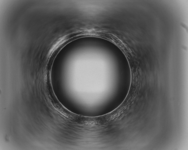 X0000097640344200802291410