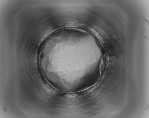 X0000097640346200802291410