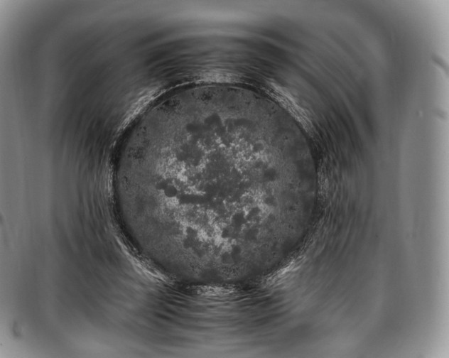 X0000097640347200802291410