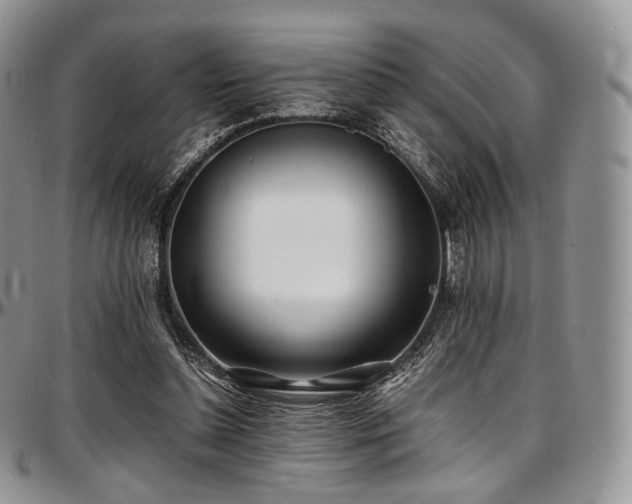 X0000097640348200802291410