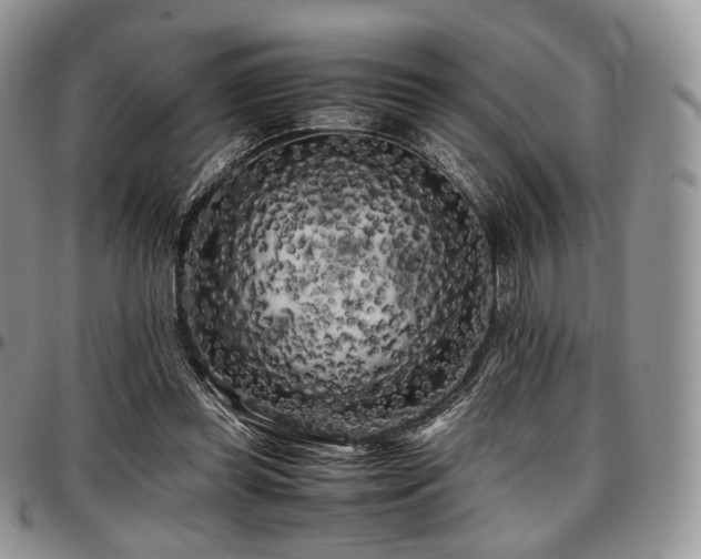 X0000097640349200802291410