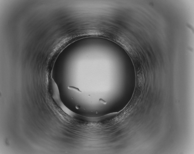 X0000097640350200802291410