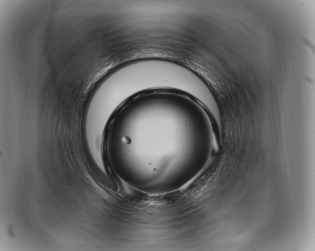 X0000097640352200802291410