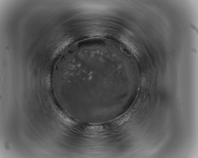 X0000097640353200802291410