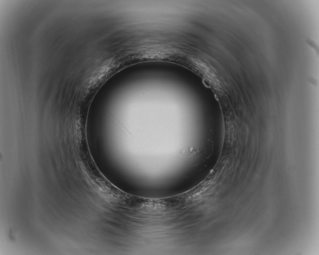 X0000097640354200802291410