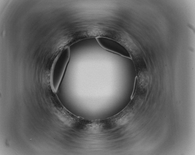 X0000097640356200802291410