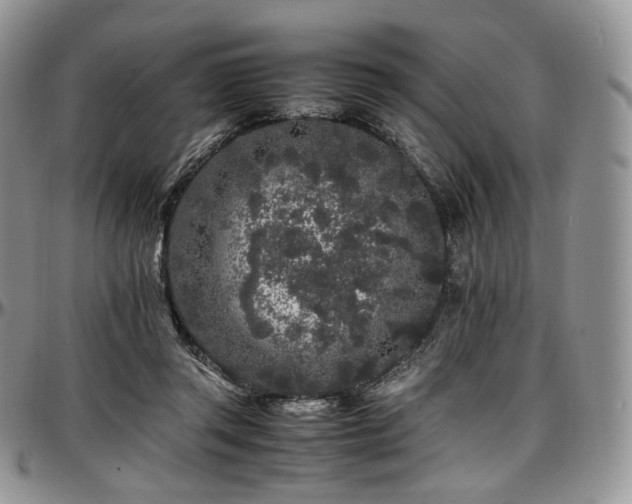 X0000097640357200802291410