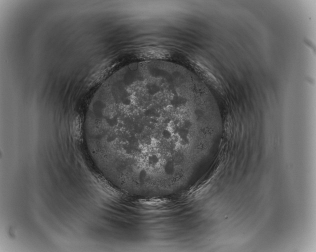 X0000097640359200802291410