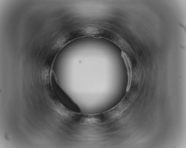 X0000097640360200802291410