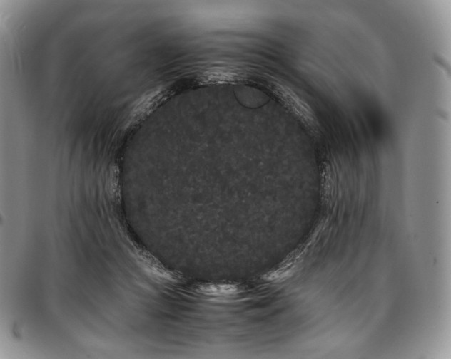 X0000097640361200802291410