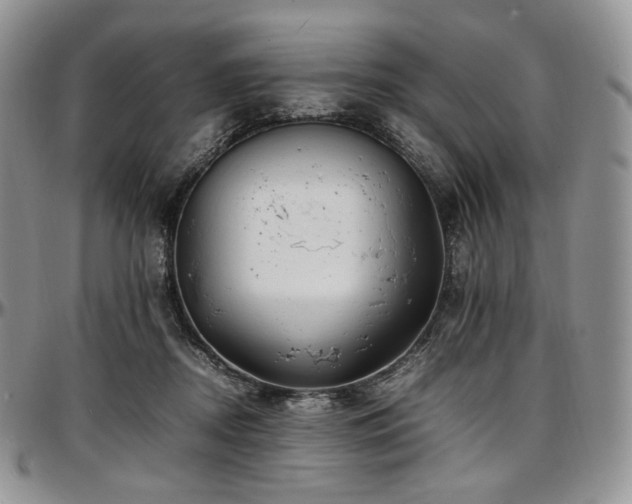 X0000097640362200802291410