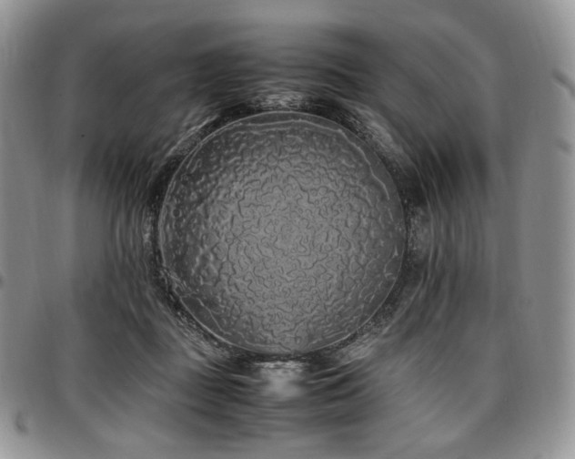 X0000097640363200802291410