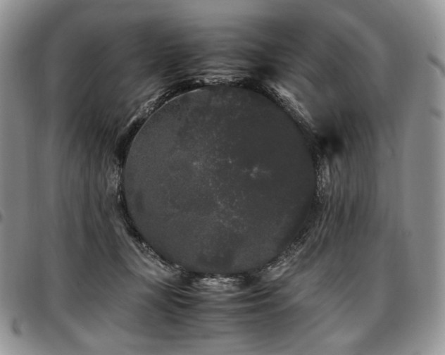 X0000097640367200802291411