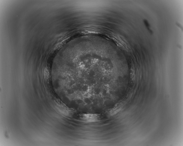 X0000097640371200802291411