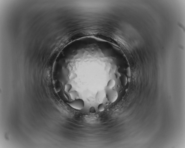 X0000097640373200802291411