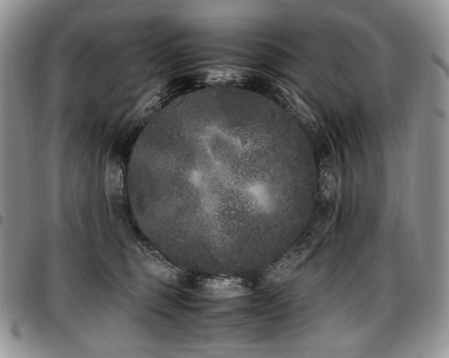 X0000097640375200802291411