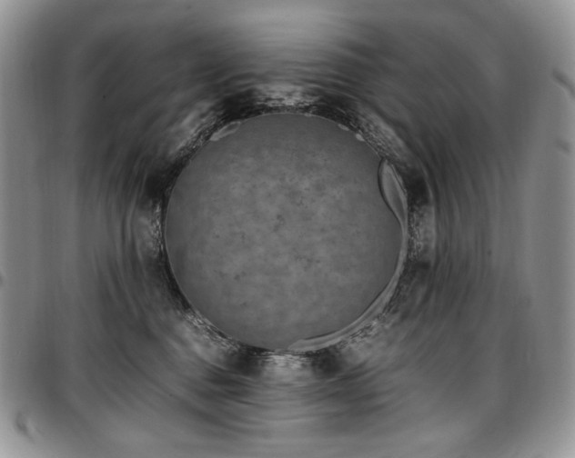 X0000097640376200802291411