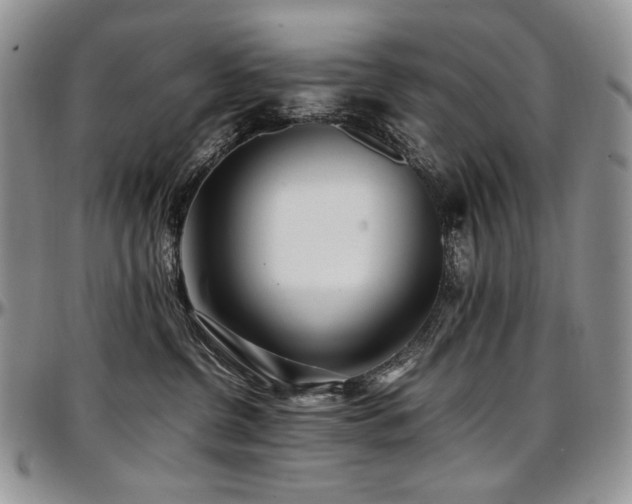 X0000097640380200802291411
