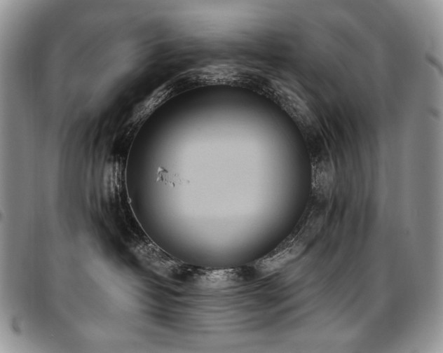 X0000097640382200802291411
