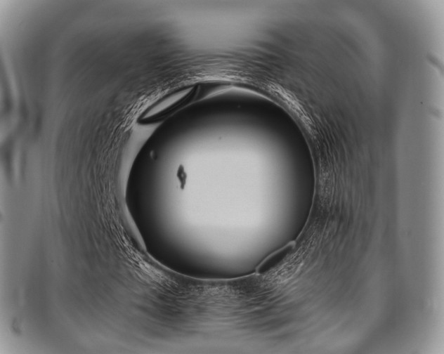 X0000097640385200802291410