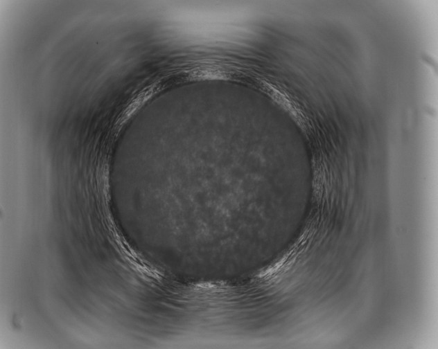 X0000097640386200802291410