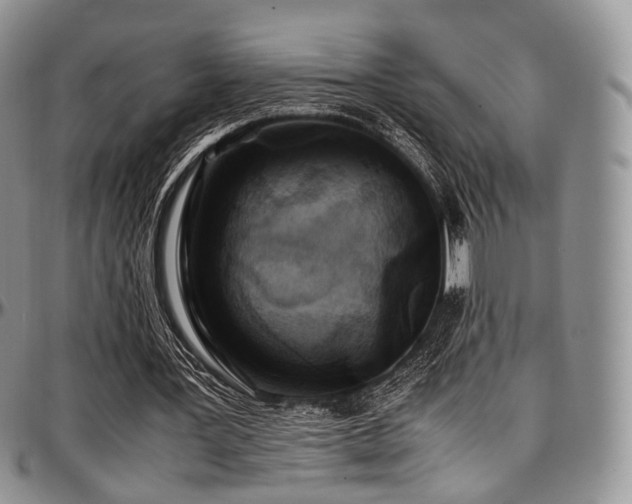 X0000097640387200802291410