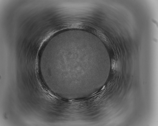 X0000097640388200802291410