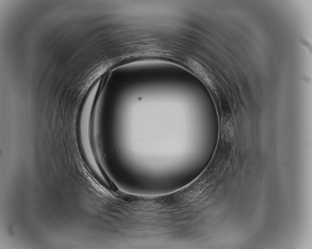 X0000097640389200802291410