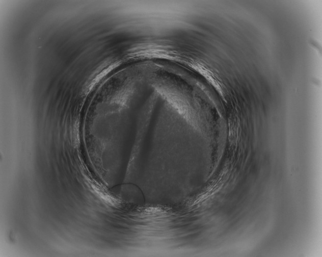 X0000097640390200802291410