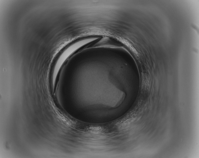 X0000097640391200802291410