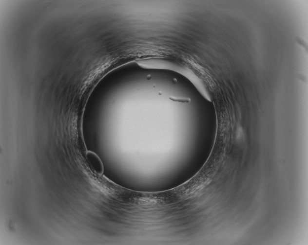 X0000097640394200802291410
