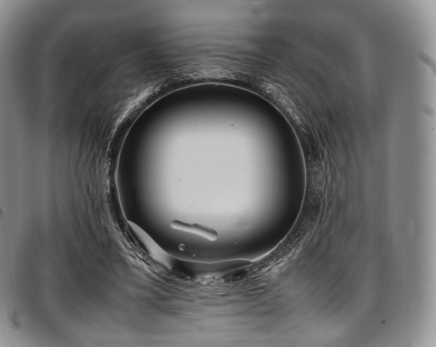 X0000097640395200802291410