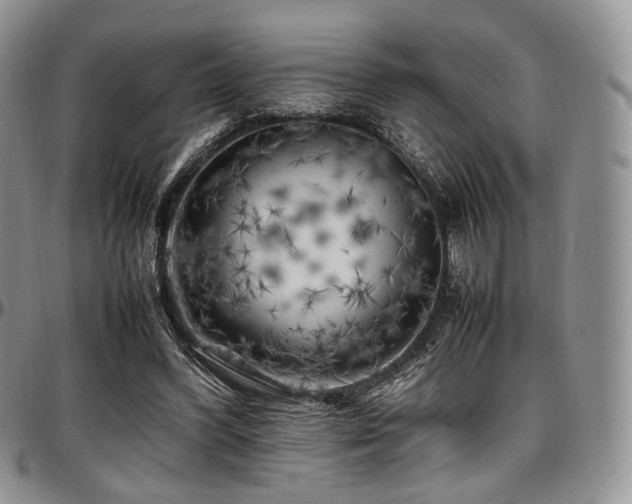 X0000097640396200802291410