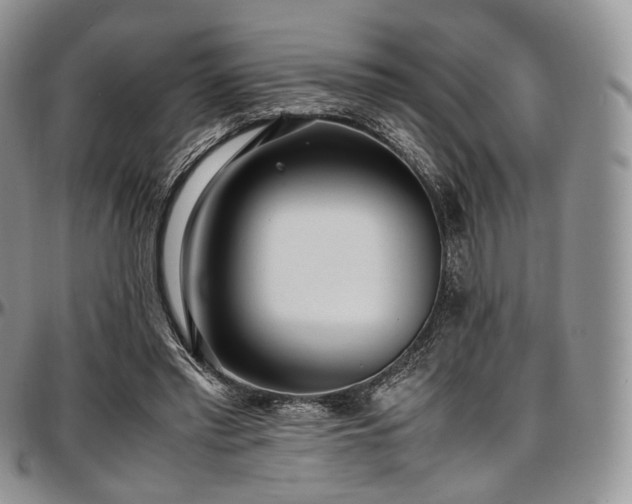 X0000097640397200802291410