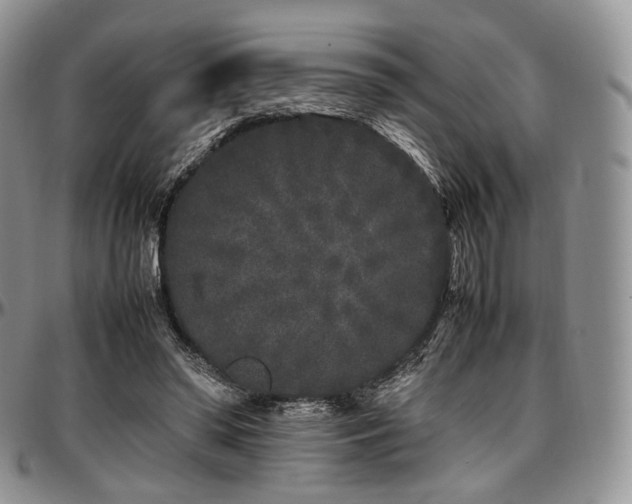 X0000097640398200802291410