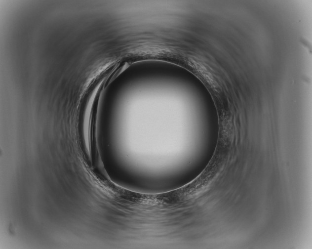 X0000097640399200802291410