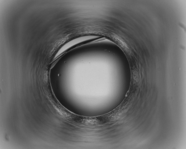 X0000097640401200802291410