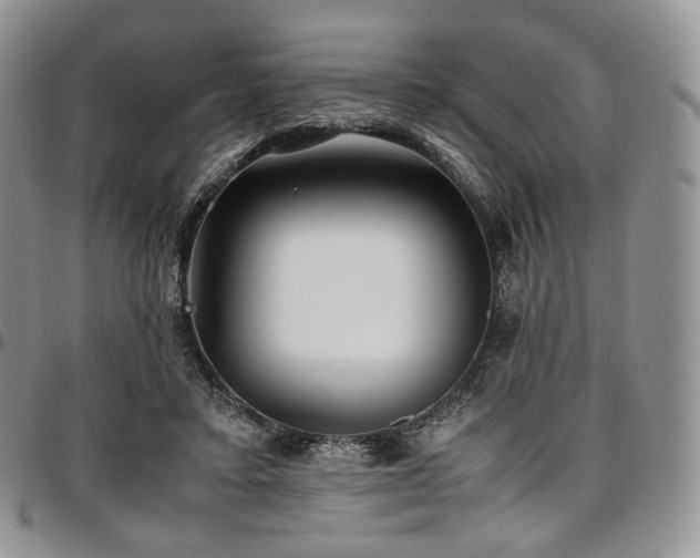 X0000097640403200802291410