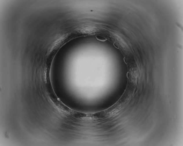 X0000097640404200802291410