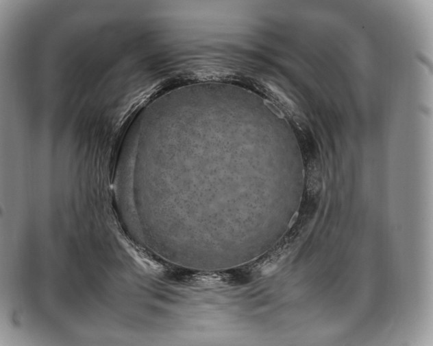 X0000097640405200802291410