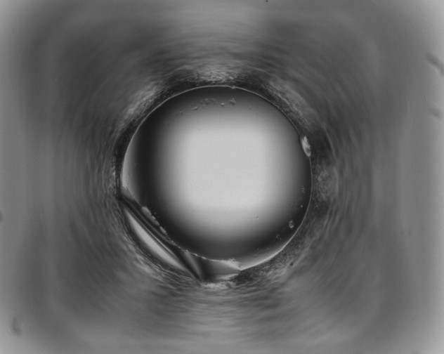 X0000097640407200802291410