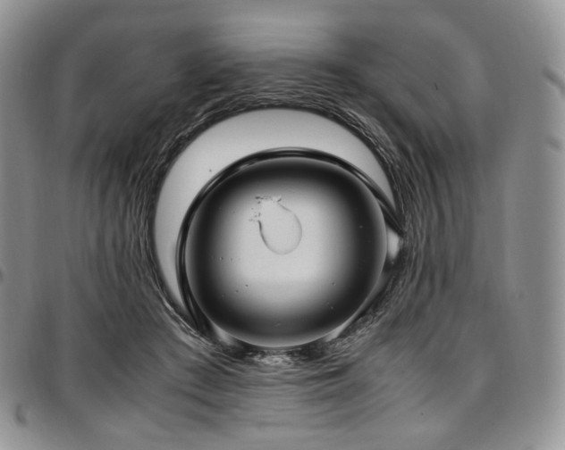 X0000097640409200802291410