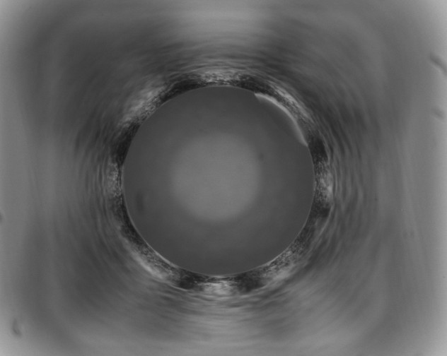 X0000097640411200802291410