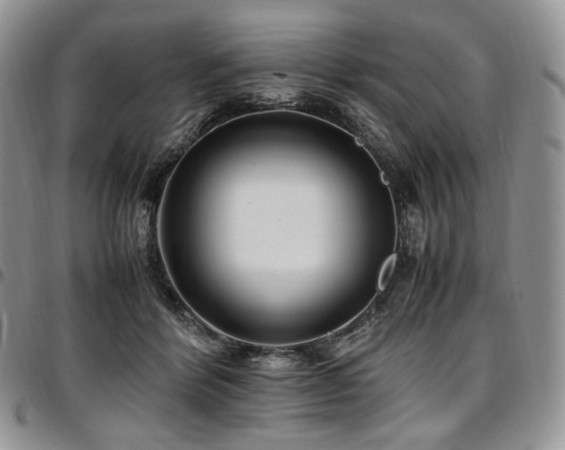 X0000097640412200802291410