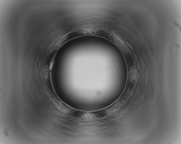 X0000097640413200802291410
