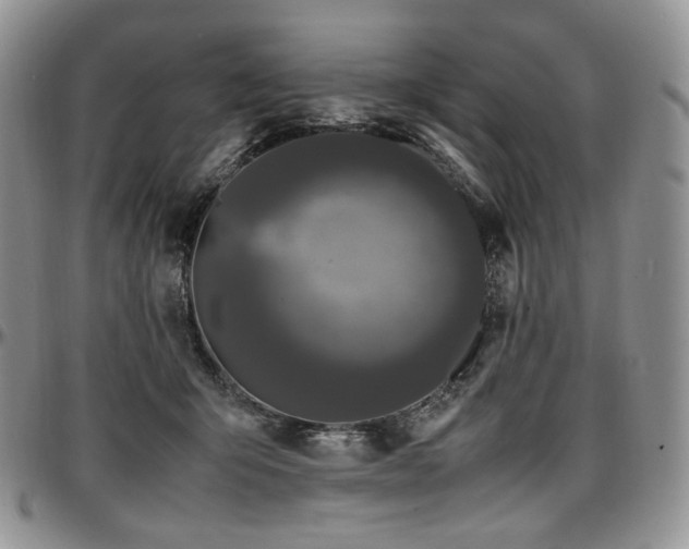 X0000097640415200802291410