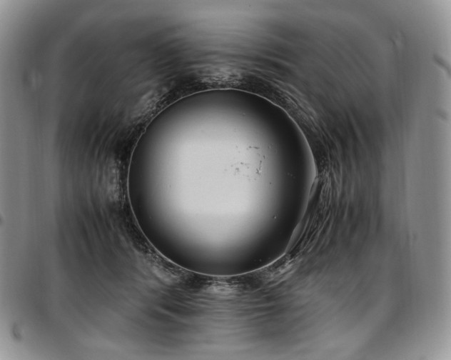 X0000097640416200802291410